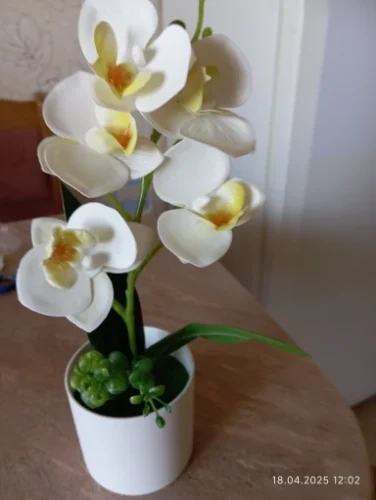 Bonsai Simulated Butterfly Orchid Artificial Potted Plant Desk photo review