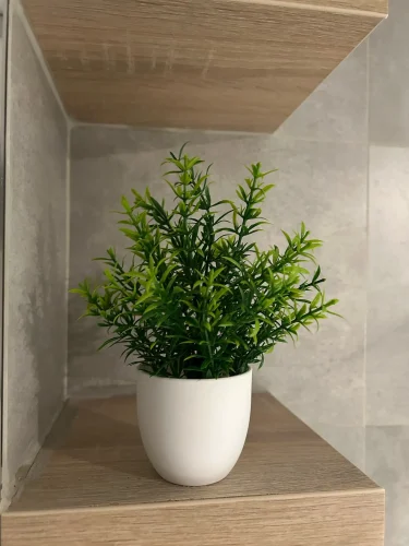 1pc Artificial Plants with Plastics Pots Perfect Greenery photo review