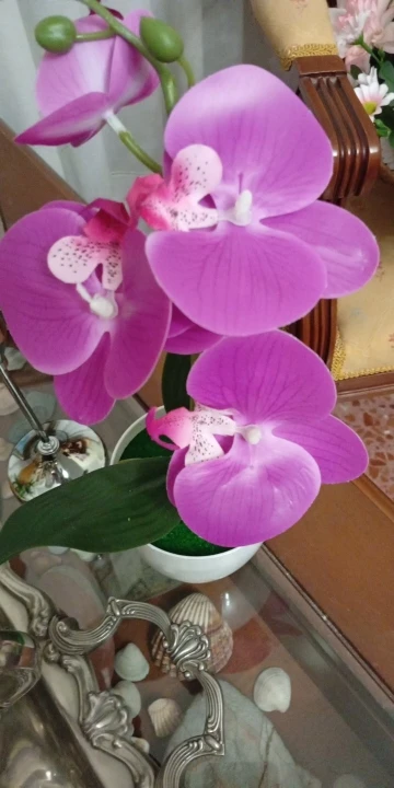 Bonsai Simulated Butterfly Orchid Artificial Potted Plant Desk photo review