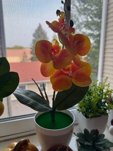 Bonsai Simulated Butterfly Orchid Artificial Potted Plant Desk photo review