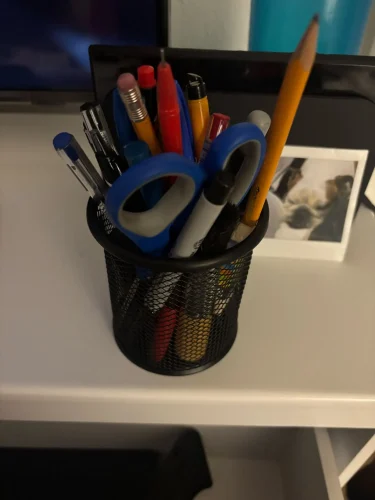 MOTARRO 1Pcs Pencil Holder Office Desk Metal Mesh photo review