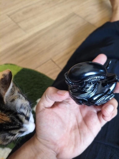 Alien Duck Resin Statue，Evil Alien Duck Ornament ，Resin photo review