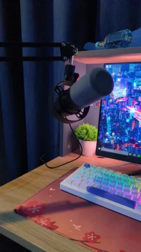 FIFINE Dynamic USB/XLR Microphone with Gain Knob/Touch-mute/Headphone Jack,Recording photo review