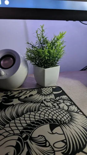 1pc Artificial Plants with Plastics Pots Perfect Greenery photo review