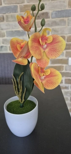 Bonsai Simulated Butterfly Orchid Artificial Potted Plant Desk photo review