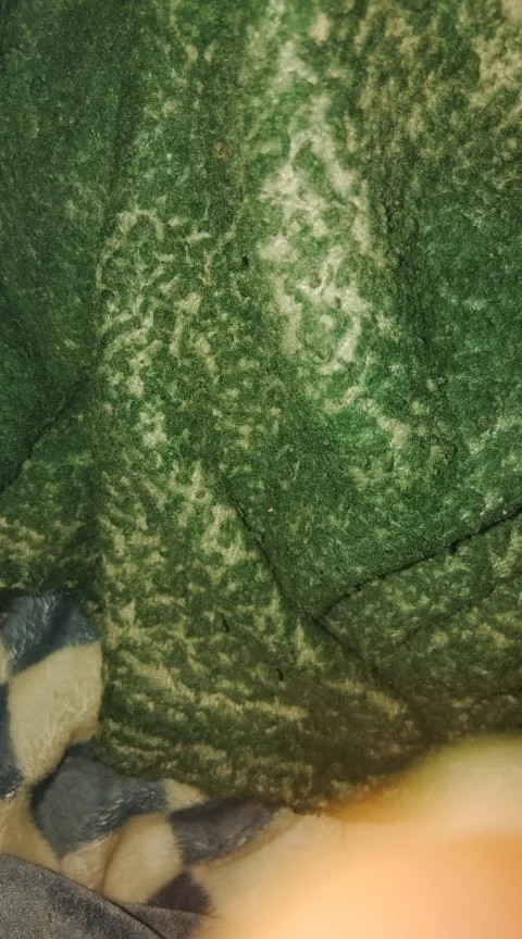 High Quality Wireless Bluetooth Speaker 30ft Wireless Range photo review