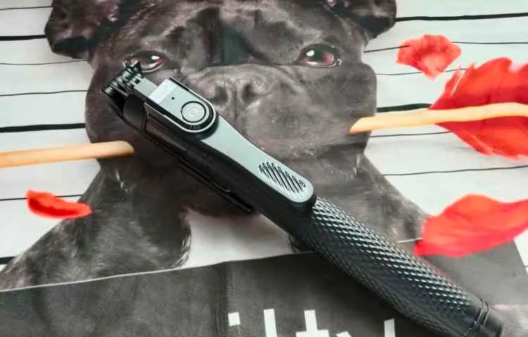 FANGTUOSI 2025 new 2.15M Expandable Portable 360° rotation photo review