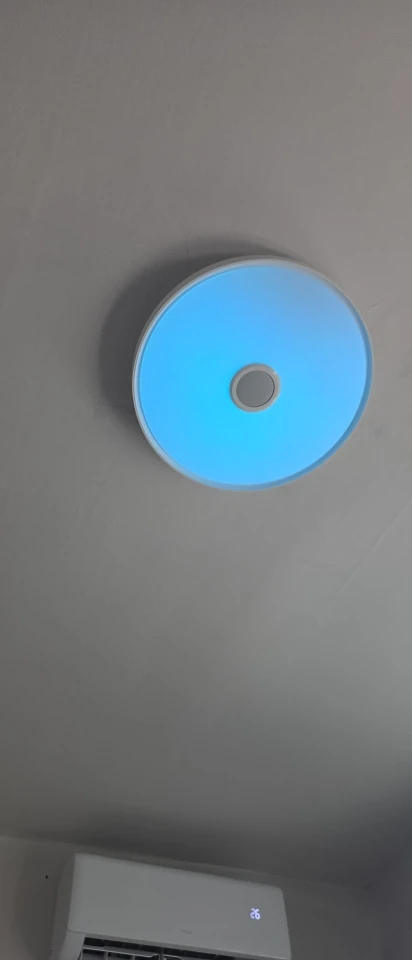 LED Smart Ceiling Lamps RGB APP Remote Control photo review