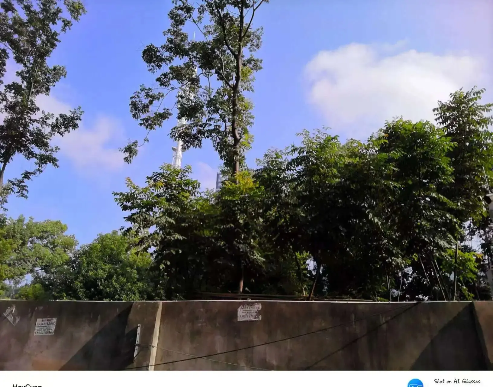 2025 Brand New 8MP Camera Glasses Color-Changing AI photo review