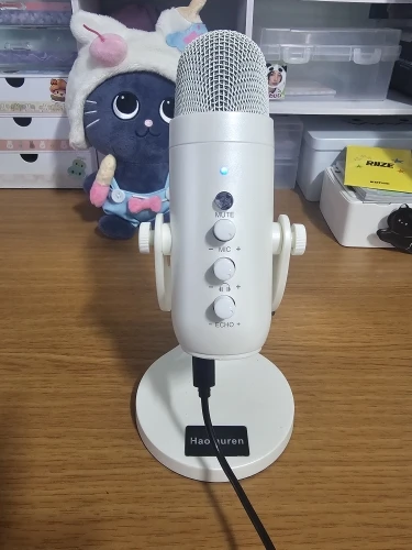 Haomuren USB Condenser Microphone Pink Studio Recording Mic photo review