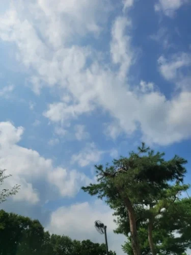 Business Card Holder Organizer Office Desk Display Stand photo review