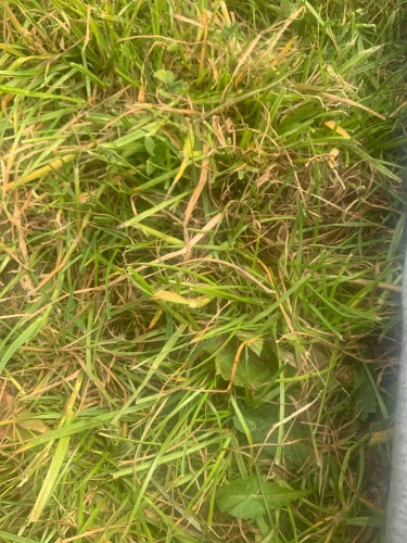 USB Rechargeable Mini Sports 3-Speed Adjustable Neck Dual photo review