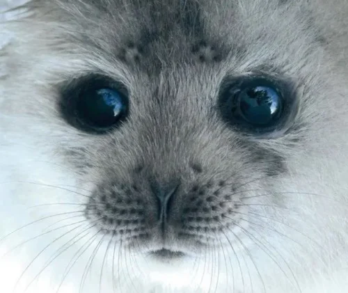 New Mini Neck Fan Portable Bladeless Hanging Neck photo review