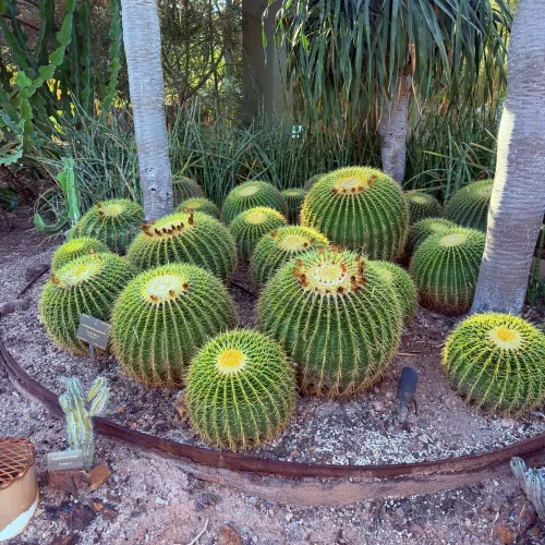 1pc Foldable Shopping Bag Eco-friendly Waterproof Portable Storage photo review