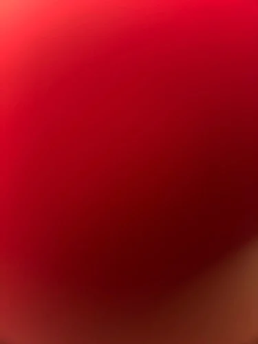 LENCENT International Travel Adapter Travel Charger with 3 photo review