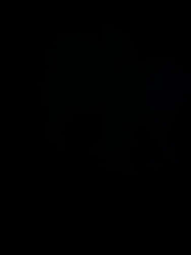 LENCENT International Travel Adapter with 2 USB Ports photo review