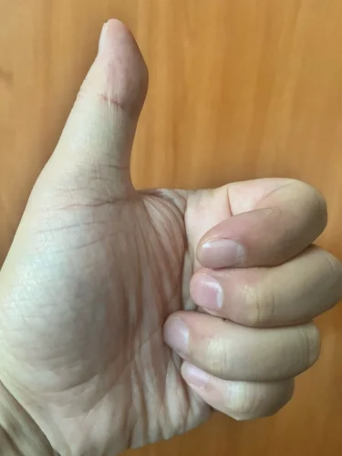 Car Chair Back Storage Rack Seat Back Storage photo review