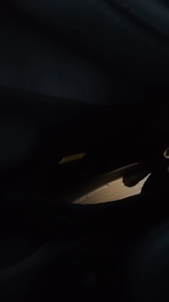 for Tesla Model Y Juniper 2025 2026 door photo review