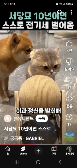 1pc Black Transparent Portable Women Travel Wash Bag photo review