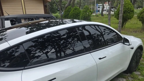 for Tesla Model Y Juniper 2025 2026 door photo review